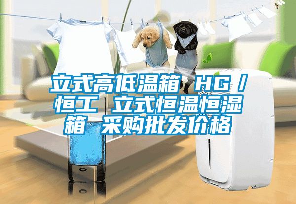 立式高低溫箱 HG／恒工 立式恒溫恒濕箱 采購批發(fā)價格