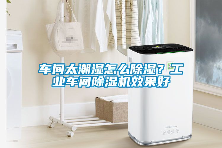 車間太潮濕怎么除濕？工業(yè)車間除濕機(jī)效果好