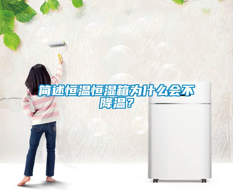 簡(jiǎn)述恒溫恒濕箱為什么會(huì)不降溫？