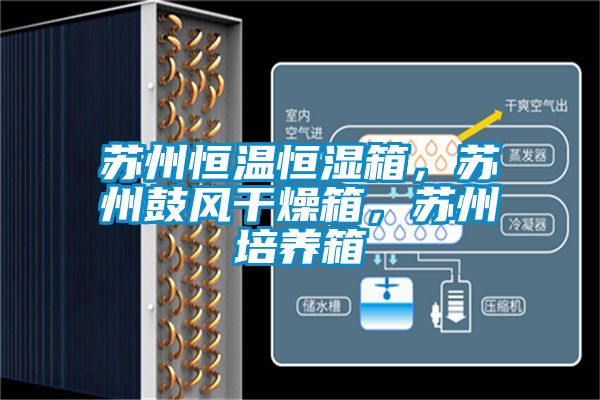 蘇州恒溫恒濕箱，蘇州鼓風(fēng)干燥箱，蘇州培養(yǎng)箱
