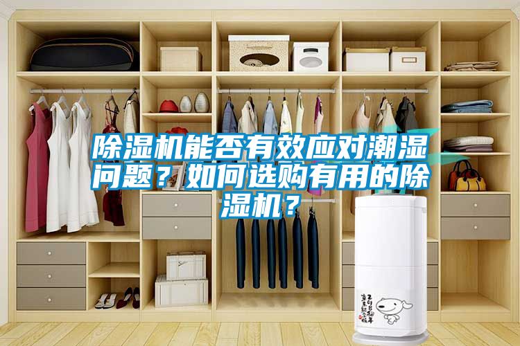 除濕機(jī)能否有效應(yīng)對潮濕問題？如何選購有用的除濕機(jī)？