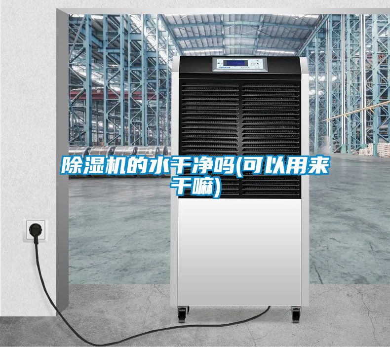 除濕機(jī)的水干凈嗎(可以用來干嘛)