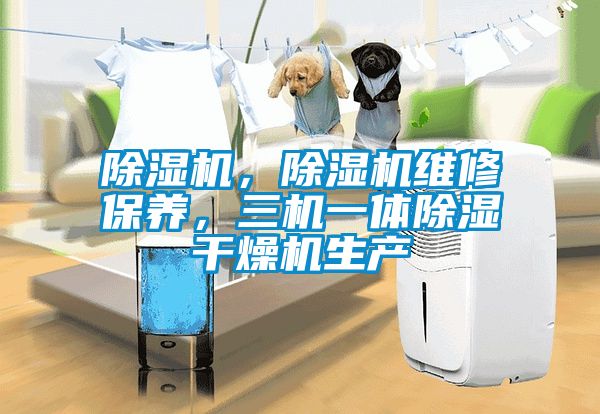 除濕機，除濕機維修保養(yǎng)，三機一體除濕干燥機生產(chǎn)