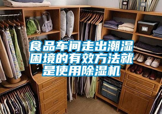 食品車(chē)間走出潮濕困境的有效方法就是使用除濕機(jī)