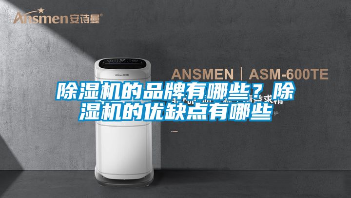 除濕機(jī)的品牌有哪些？除濕機(jī)的優(yōu)缺點(diǎn)有哪些