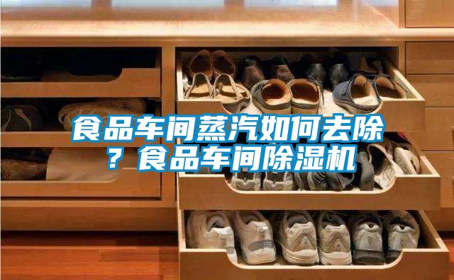 食品車(chē)間蒸汽如何去除？食品車(chē)間除濕機(jī)