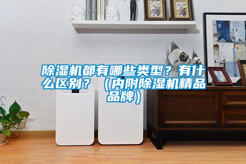 除濕機(jī)都有哪些類型？有什么區(qū)別？（內(nèi)附除濕機(jī)精品品牌）