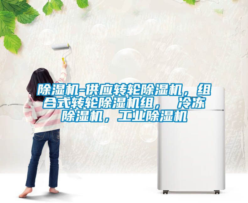 除濕機-供應(yīng)轉(zhuǎn)輪除濕機，組合式轉(zhuǎn)輪除濕機組， 冷凍除濕機，工業(yè)除濕機