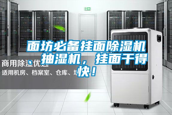 面坊必備掛面除濕機、抽濕機，掛面干得快！