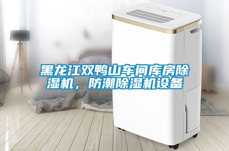 黑龍江雙鴨山車間庫(kù)房除濕機(jī)，防潮除濕機(jī)設(shè)備