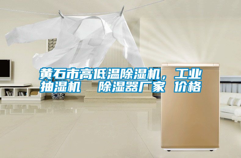 黃石市高低溫除濕機(jī)，工業(yè)抽濕機(jī)  除濕器廠家 價(jià)格