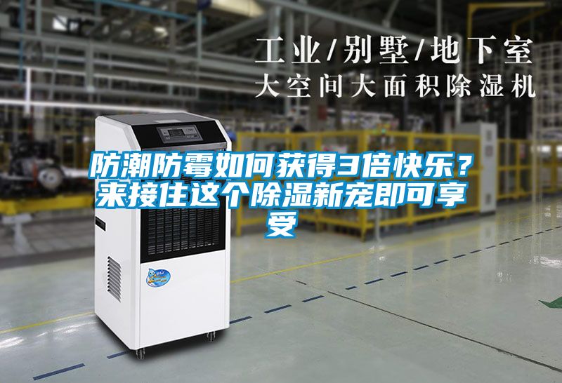 防潮防霉如何獲得3倍快樂(lè)？來(lái)接住這個(gè)除濕新寵即可享受