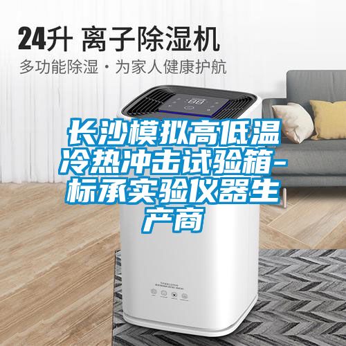 長沙模擬高低溫冷熱沖擊試驗箱-標(biāo)承實驗儀器生產(chǎn)商