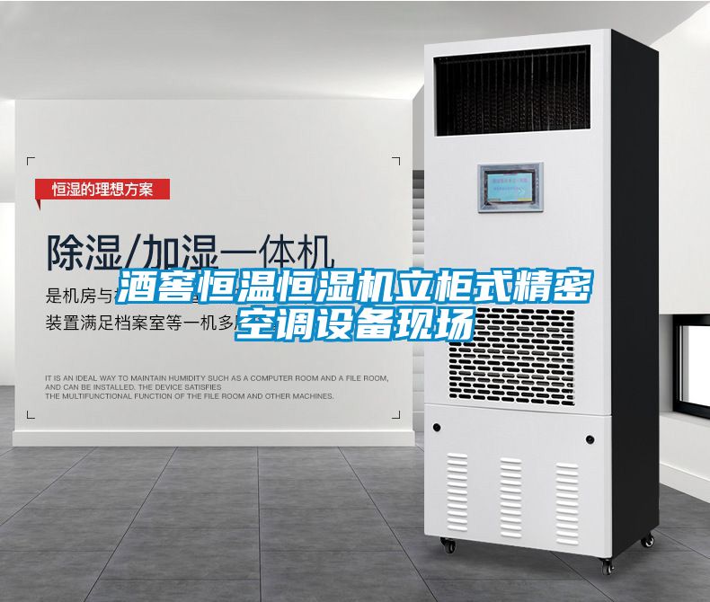 酒窖恒溫恒濕機立柜式精密空調(diào)設(shè)備現(xiàn)場