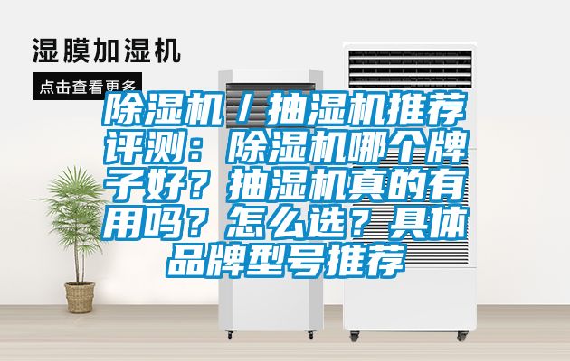 除濕機／抽濕機推薦評測：除濕機哪個牌子好？抽濕機真的有用嗎？怎么選？具體品牌型號推薦