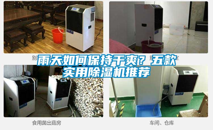 雨天如何保持干爽？五款實(shí)用除濕機(jī)推薦