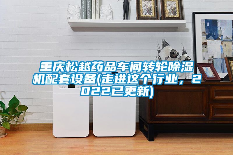 重慶松越藥品車間轉(zhuǎn)輪除濕機配套設(shè)備(走進這個行業(yè)，2022已更新)