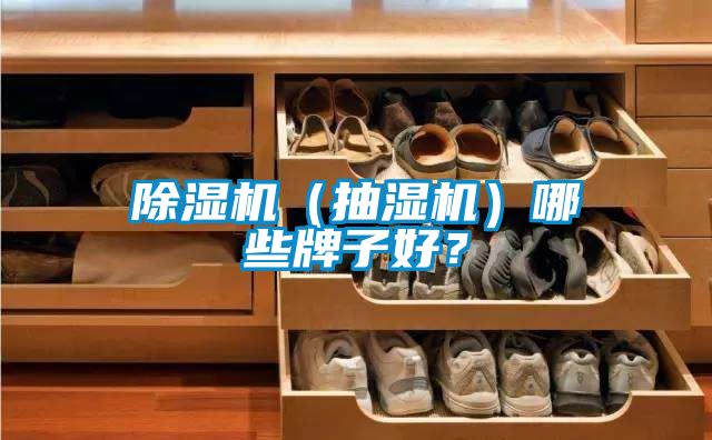 除濕機（抽濕機）哪些牌子好？