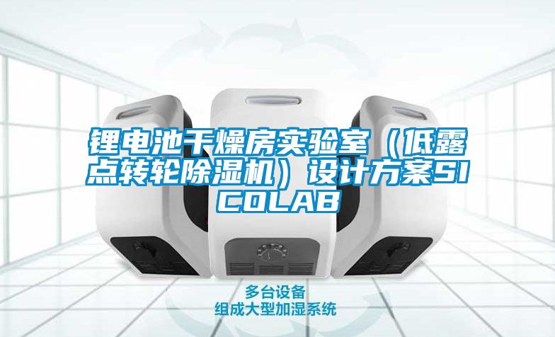 鋰電池干燥房實驗室（低露點轉(zhuǎn)輪除濕機）設計方案SICOLAB