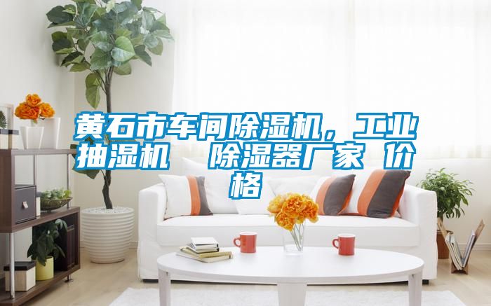 黃石市車間除濕機(jī)，工業(yè)抽濕機(jī)  除濕器廠家 價(jià)格