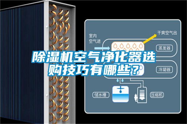除濕機(jī)空氣凈化器選購技巧有哪些？