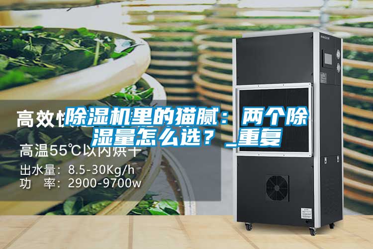 除濕機(jī)里的貓膩：兩個(gè)除濕量怎么選？_重復(fù)
