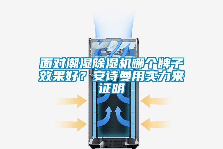 面對潮濕除濕機哪個牌子效果好？安詩曼用實力來證明