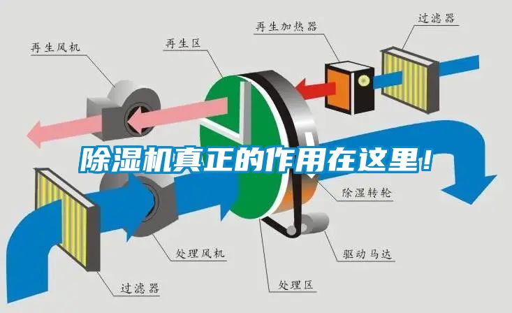 除濕機真正的作用在這里！