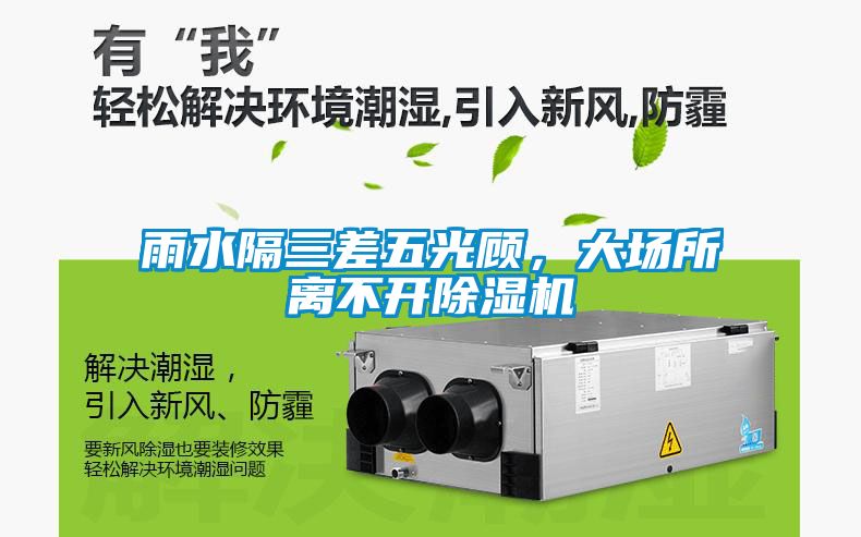 雨水隔三差五光顧，大場所離不開除濕機