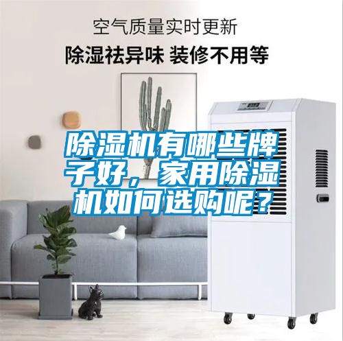 除濕機(jī)有哪些牌子好，家用除濕機(jī)如何選購呢？