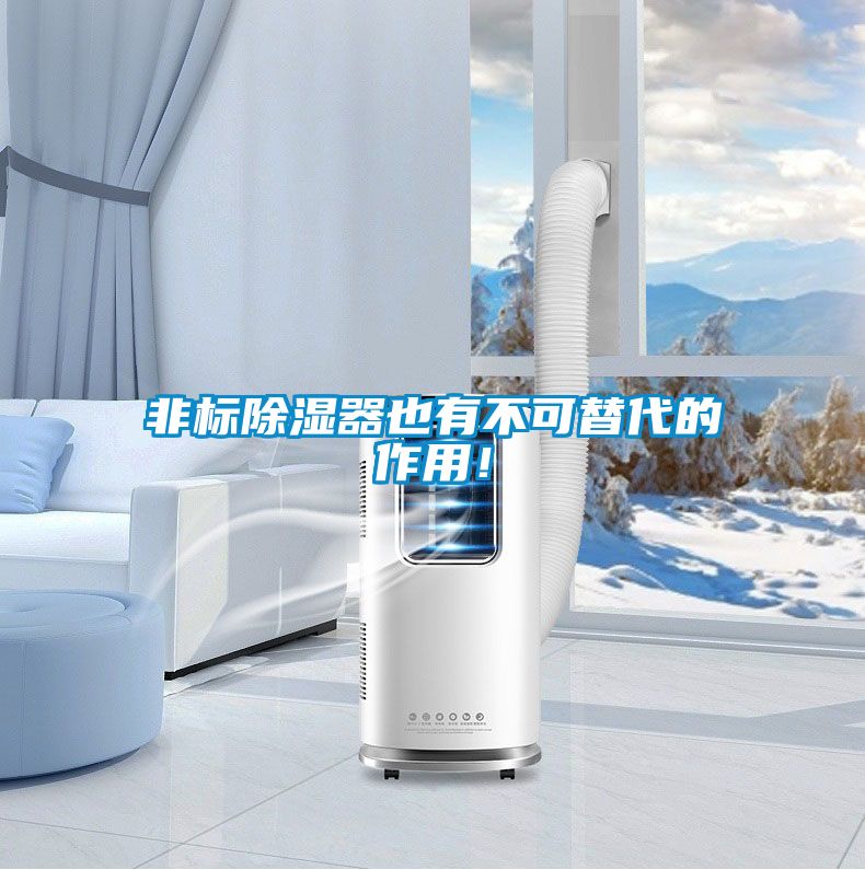 非標(biāo)除濕器也有不可替代的作用！
