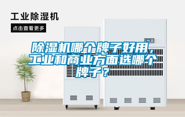除濕機哪個牌子好用，工業(yè)和商業(yè)方面選哪個牌子？