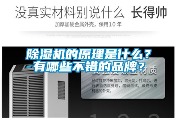 除濕機(jī)的原理是什么？有哪些不錯(cuò)的品牌？