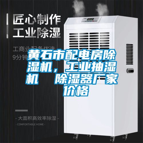 黃石市配電房除濕機(jī)，工業(yè)抽濕機(jī)  除濕器廠家 價(jià)格