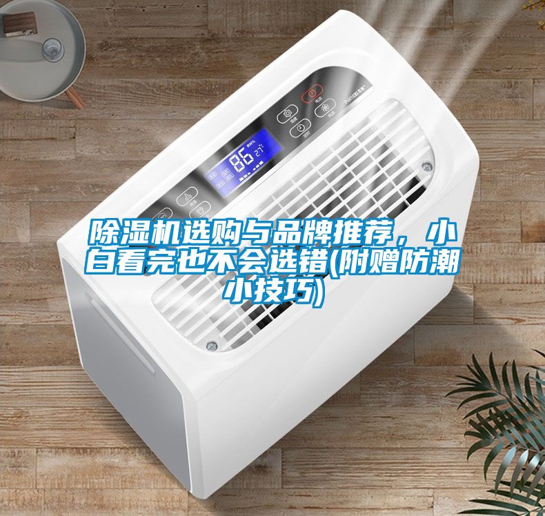 除濕機(jī)選購(gòu)與品牌推薦，小白看完也不會(huì)選錯(cuò)(附贈(zèng)防潮小技巧)