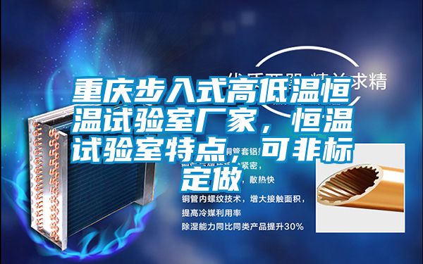 重慶步入式高低溫恒溫試驗(yàn)室廠家，恒溫試驗(yàn)室特點(diǎn)，可非標(biāo)定做