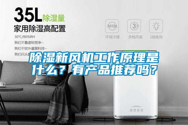 除濕新風(fēng)機(jī)工作原理是什么？有產(chǎn)品推薦嗎？
