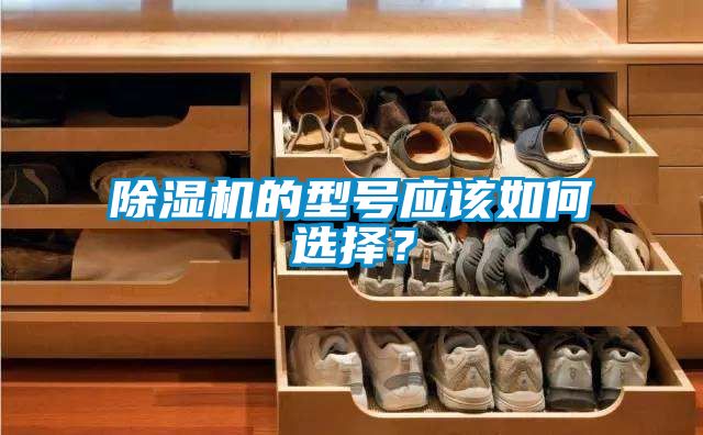 除濕機(jī)的型號應(yīng)該如何選擇？