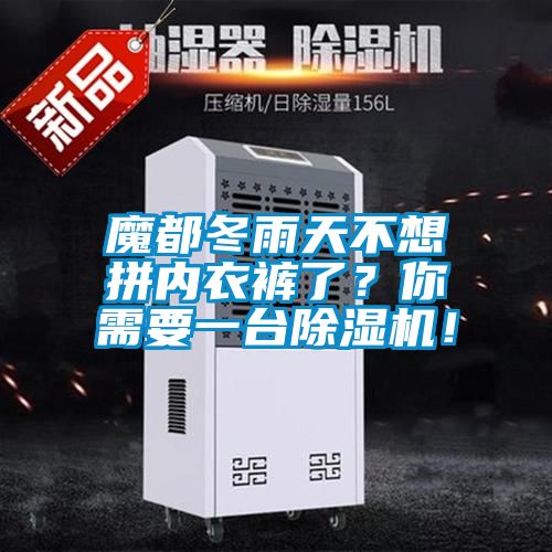 魔都冬雨天不想拼內(nèi)衣褲了？你需要一臺除濕機(jī)！