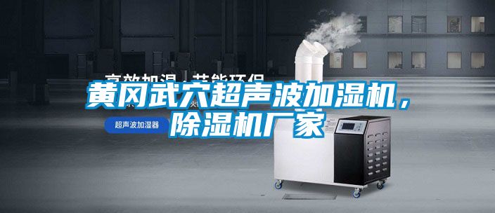 黃岡武穴超聲波加濕機(jī)，除濕機(jī)廠家