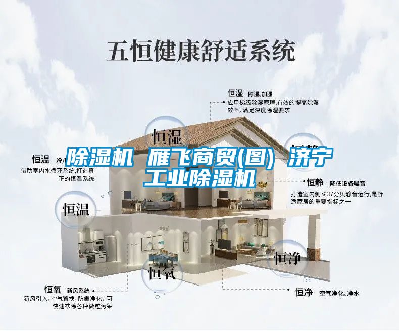 除濕機 雁飛商貿(mào)(圖) 濟寧工業(yè)除濕機