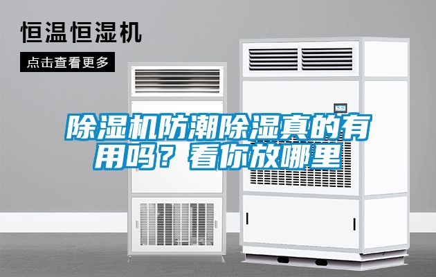 除濕機(jī)防潮除濕真的有用嗎？看你放哪里