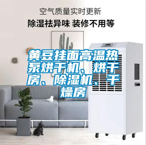 黃豆掛面高溫熱泵烘干機、烘干房、除濕機、干燥房