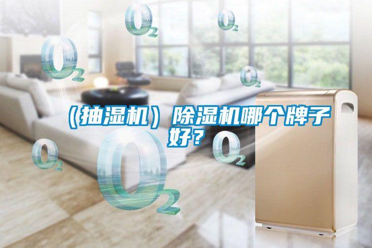 （抽濕機(jī)）除濕機(jī)哪個(gè)牌子好？