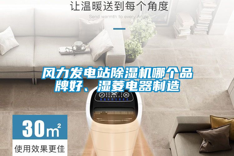 風(fēng)力發(fā)電站除濕機哪個品牌好、濕菱電器制造