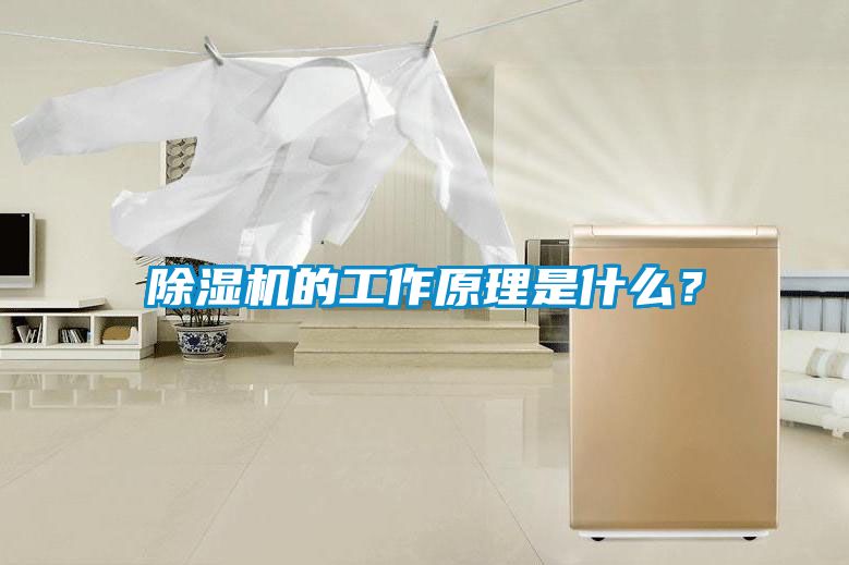 除濕機(jī)的工作原理是什么？