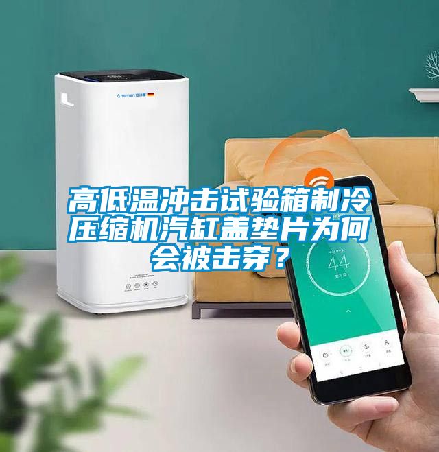 高低溫沖擊試驗(yàn)箱制冷壓縮機(jī)汽缸蓋墊片為何會被擊穿？