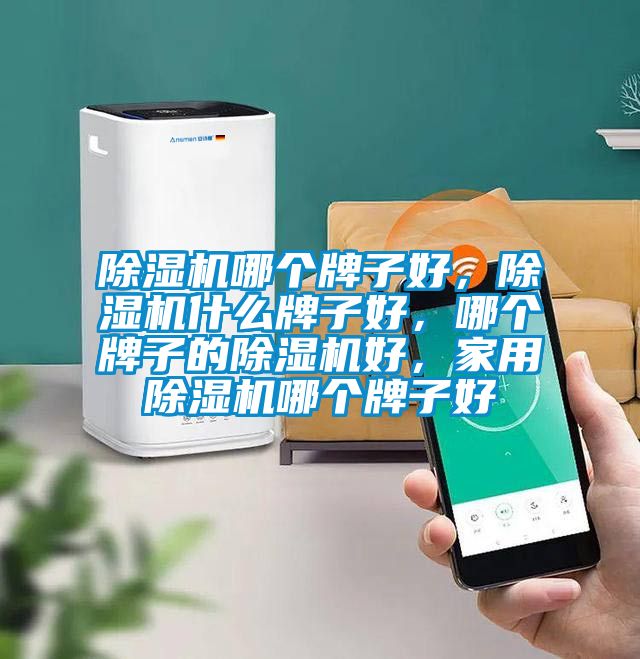 除濕機哪個牌子好，除濕機什么牌子好，哪個牌子的除濕機好，家用除濕機哪個牌子好