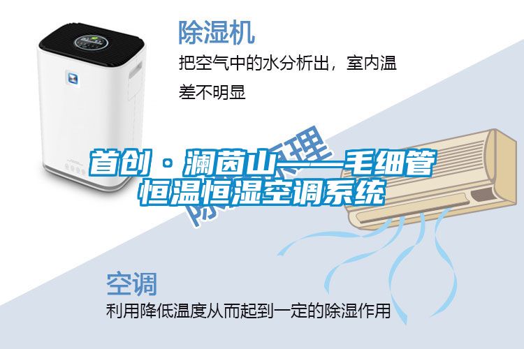 首創(chuàng)·瀾茵山——毛細管恒溫恒濕空調(diào)系統(tǒng)