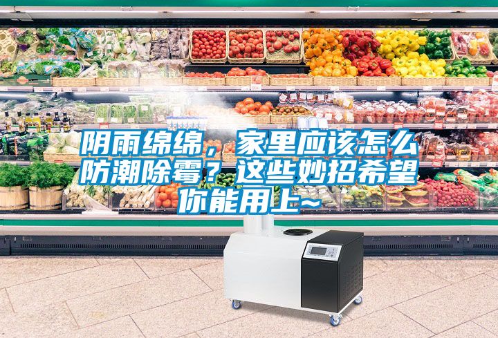 陰雨綿綿，家里應(yīng)該怎么防潮除霉？這些妙招希望你能用上~